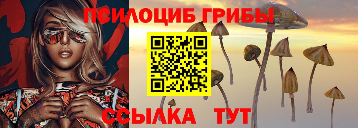 Галлюциногенные грибы MAGIC MUSHROOMS  Псилоцибиновые грибы мухоморы  Сафоново  Вход с VPN 